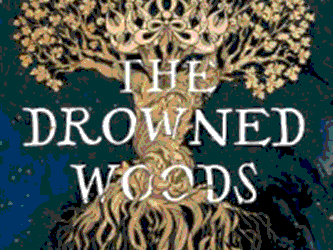 Top 10 Books: The Drowned Woods