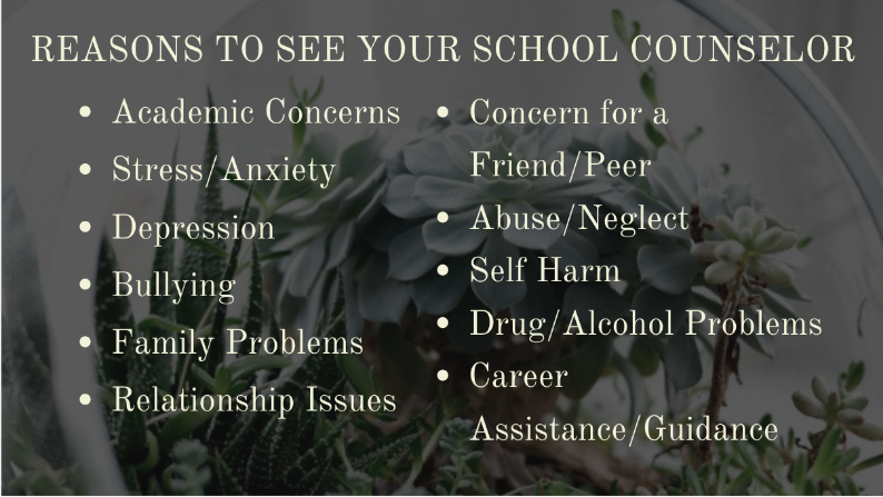 Reasons to see your counselor